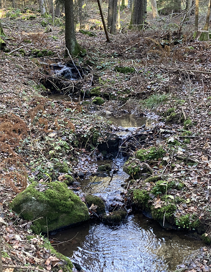 Dreitagestour im Waldviertel, 2025