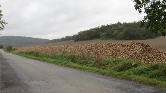 Fünftägige Tour in Böhmen und Mähren, 2014